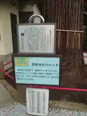 熊野神社(埼玉県)