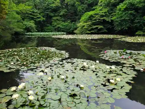 明治神宮(東京都)