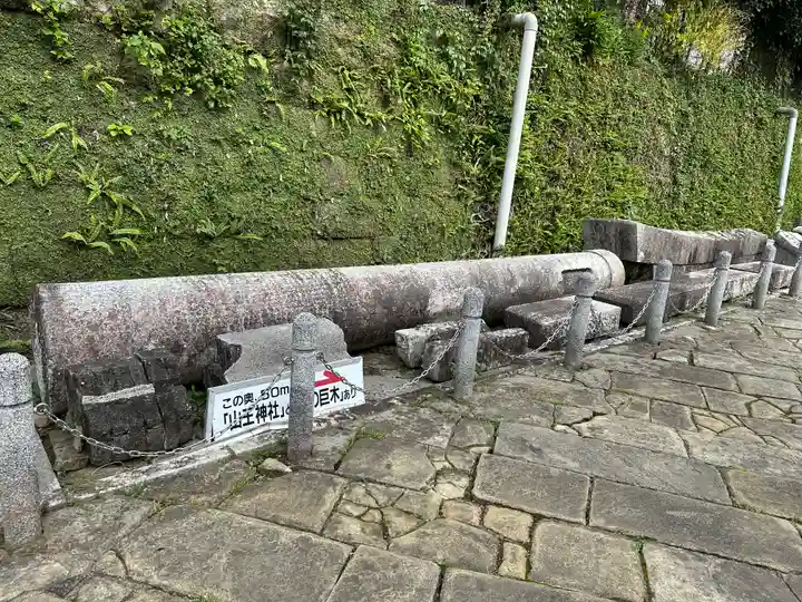 山王神社の鳥居