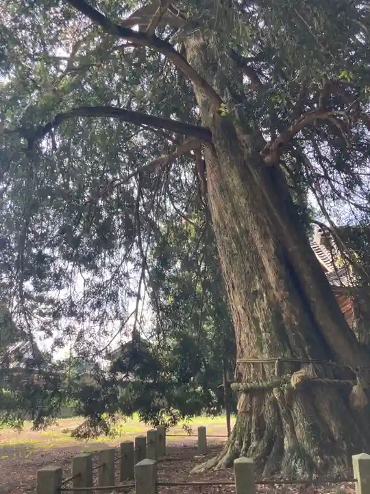小宅八幡神社(栃木県)