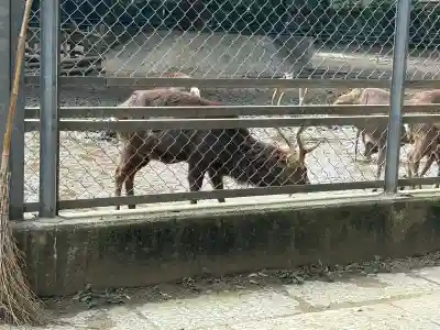 鹿島神宮(茨城県)