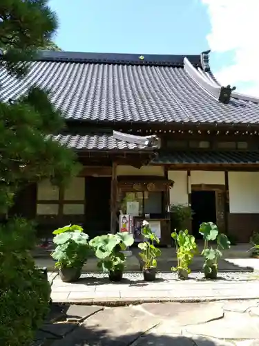 高照寺の本殿・本堂