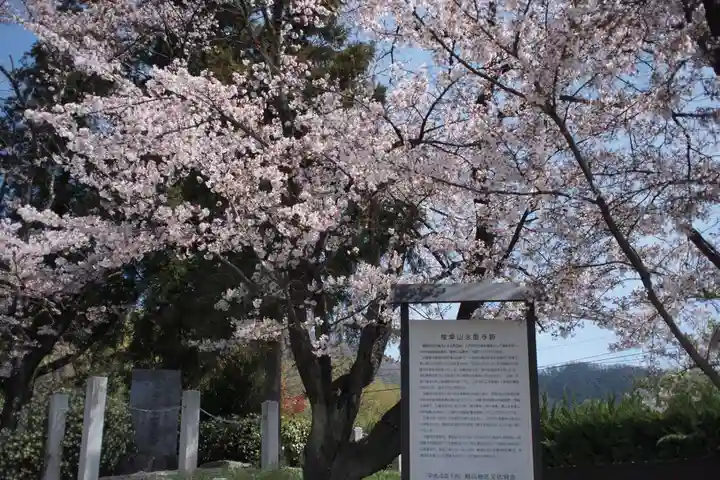 山梨縣護國神社の自然