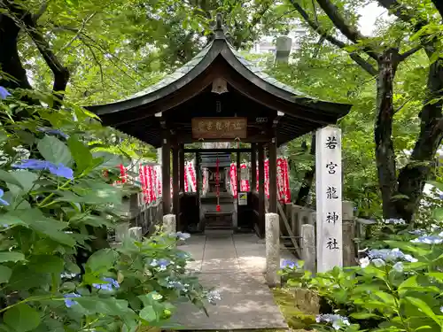 若宮八幡社の本殿・本堂