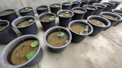 行願寺（革堂）(京都府)