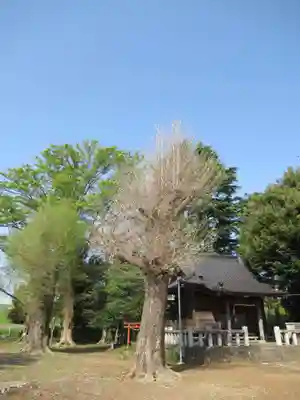 日枝神社(千葉県)