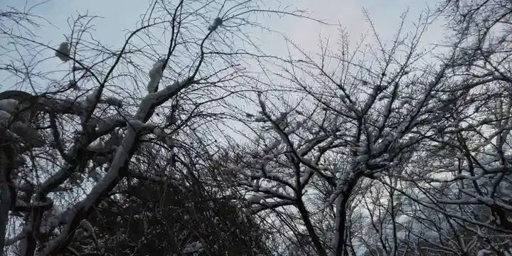 平野神社(京都府)