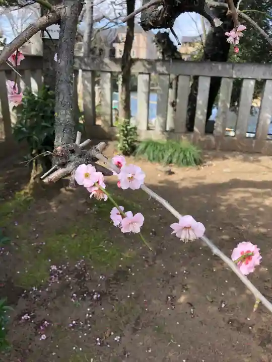境香取神社の自然