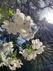 尾上神社の本殿