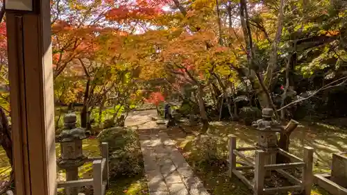 勝持寺（花の寺）(京都府)