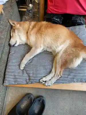 法明寺(東京都)