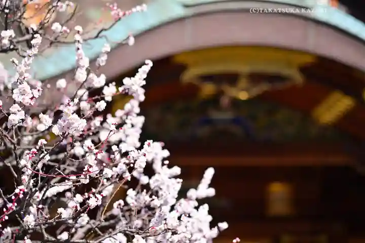 湯島天満宮(東京都)
