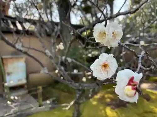 大仙院の{uncategorized: "未分類", other: "その他", undefined: "問題あり", building: "その他建物", grave: "お墓", sacred_gate: "鳥居", guardian: "狛犬", statue: "像", buddha: "仏像", history: "歴史", nature: "自然", garden: "庭園", animal: "動物", pagoda: "塔", temizu: "手水舎", mountain_gate: "山門・神門", sanctuary: "本殿・本堂", subordinate: "末社・摂社", art: "芸術", scenery: "景色", jizo: "地蔵", ema: "絵馬", goshuin: "御朱印", omikuji: "おみくじ", items: "授与品その他", amulet: "お守り", goshuincho: "御朱印帳", eats: "食事", festival: "お祭り", votive_dance: "神楽", shichigosan: "七五三参", wedding: "結婚式", experience: "体験その他", initially: "初詣", around: "周辺", anti_infection: "感染症対策"}