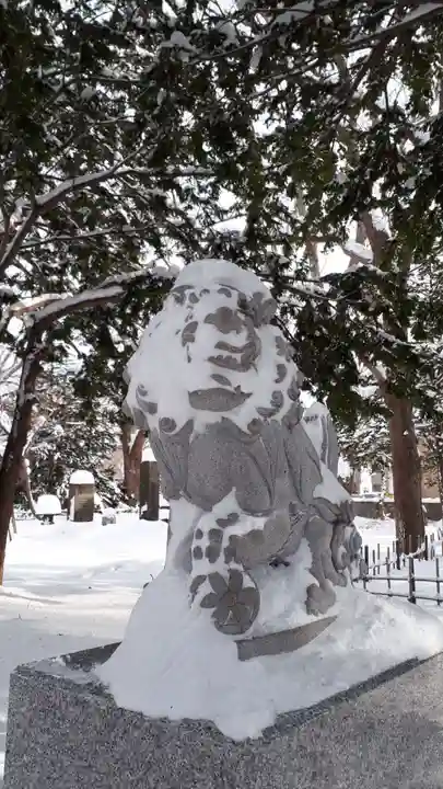 新琴似神社の狛犬