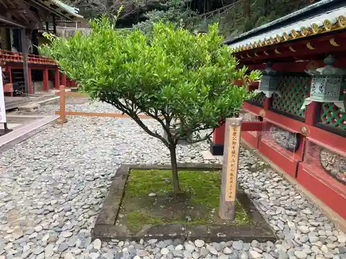 久能山東照宮のその他建物