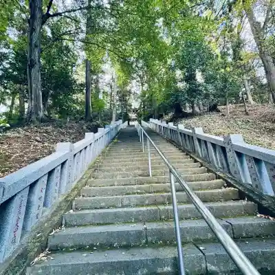 達磨寺(群馬県)