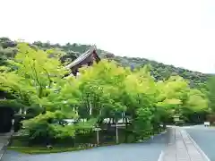 禅林寺（永観堂）の建物その他