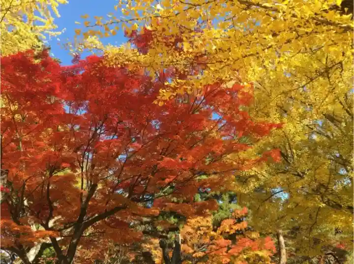 鶴ケ城稲荷神社の自然