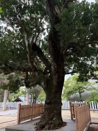 芦屋神社の{uncategorized: "未分類", other: "その他", undefined: "問題あり", building: "その他建物", grave: "お墓", sacred_gate: "鳥居", guardian: "狛犬", statue: "像", buddha: "仏像", history: "歴史", nature: "自然", garden: "庭園", animal: "動物", pagoda: "塔", temizu: "手水舎", mountain_gate: "山門・神門", sanctuary: "本殿・本堂", subordinate: "末社・摂社", art: "芸術", scenery: "景色", jizo: "地蔵", ema: "絵馬", goshuin: "御朱印", omikuji: "おみくじ", items: "授与品その他", amulet: "お守り", goshuincho: "御朱印帳", eats: "食事", festival: "お祭り", votive_dance: "神楽", shichigosan: "七五三参", wedding: "結婚式", experience: "体験その他", initially: "初詣", around: "周辺", anti_infection: "感染症対策"}