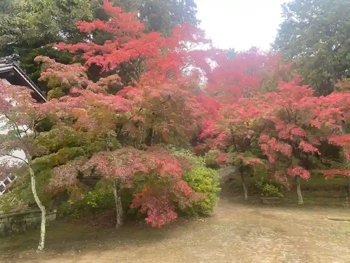 石峯寺(兵庫県)