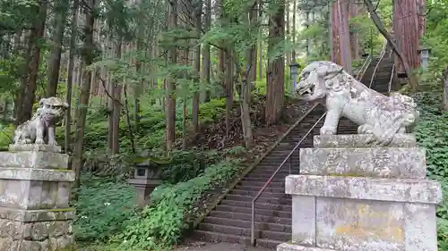 戸隠神社宝光社の狛犬