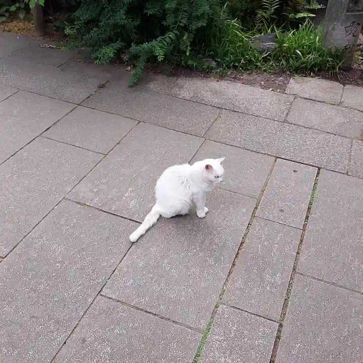 愛宕神社の仏像