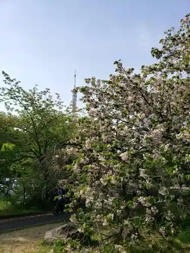 芝東照宮の自然