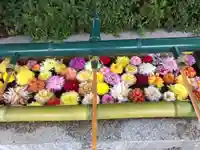 伊和志津神社の手水舎