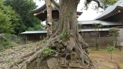 埴生神社の自然