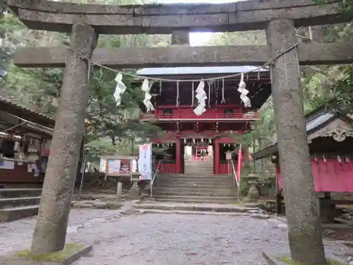 花園神社の鳥居