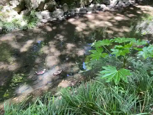 明王院（満願寺別院）の周辺