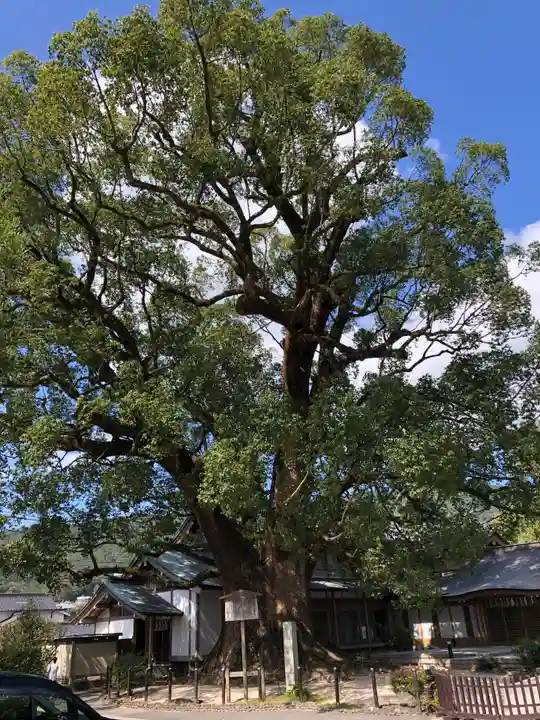 太宰府天満宮の自然
