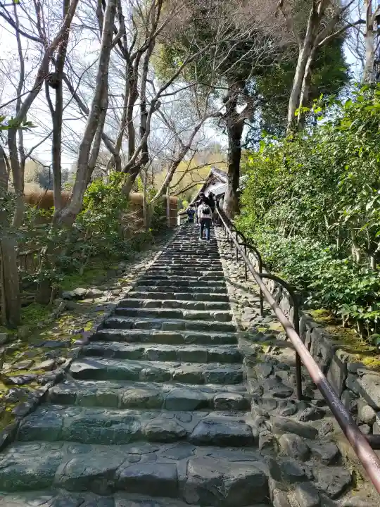 華厳寺(鈴虫寺)の{uncategorized: "未分類", other: "その他", undefined: "問題あり", building: "その他建物", grave: "お墓", sacred_gate: "鳥居", guardian: "狛犬", statue: "像", buddha: "仏像", history: "歴史", nature: "自然", garden: "庭園", animal: "動物", pagoda: "塔", temizu: "手水舎", mountain_gate: "山門・神門", sanctuary: "本殿・本堂", subordinate: "末社・摂社", art: "芸術", scenery: "景色", jizo: "地蔵", ema: "絵馬", goshuin: "御朱印", omikuji: "おみくじ", items: "授与品その他", amulet: "お守り", goshuincho: "御朱印帳", eats: "食事", festival: "お祭り", votive_dance: "神楽", shichigosan: "七五三参", wedding: "結婚式", experience: "体験その他", initially: "初詣", around: "周辺", anti_infection: "感染症対策"}