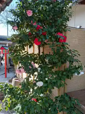 蛇窪神社(東京都)