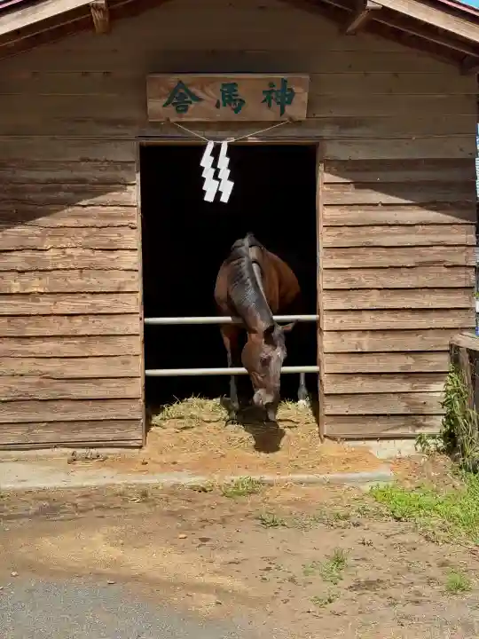 小室浅間神社(山梨県)