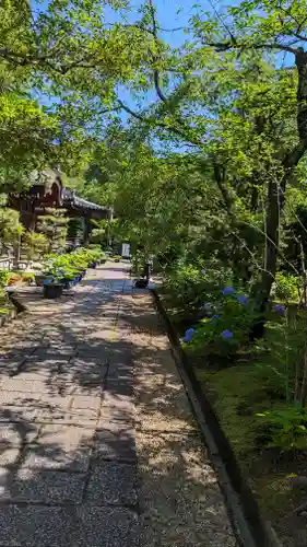 法金剛院(京都府)