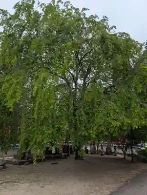 龍泉寺(岡山県)