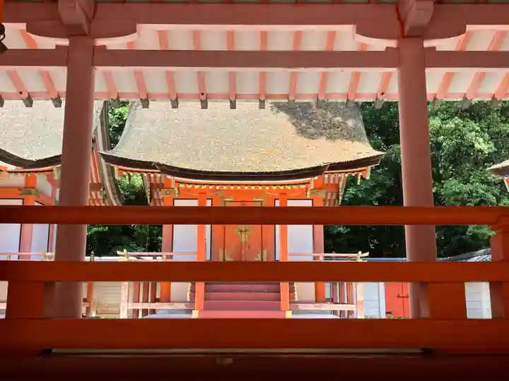 宇佐神宮(大分県)