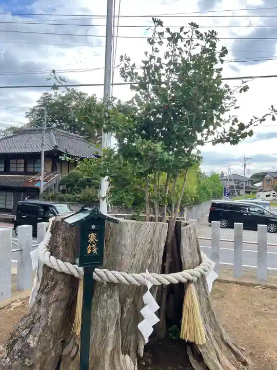 守谷総鎮守 八坂神社(茨城県)