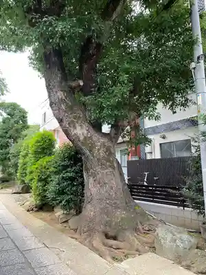 玉林寺(東京都)