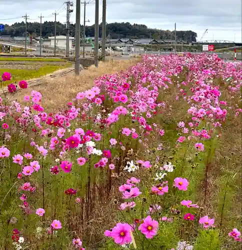 大安禅寺(福井県)