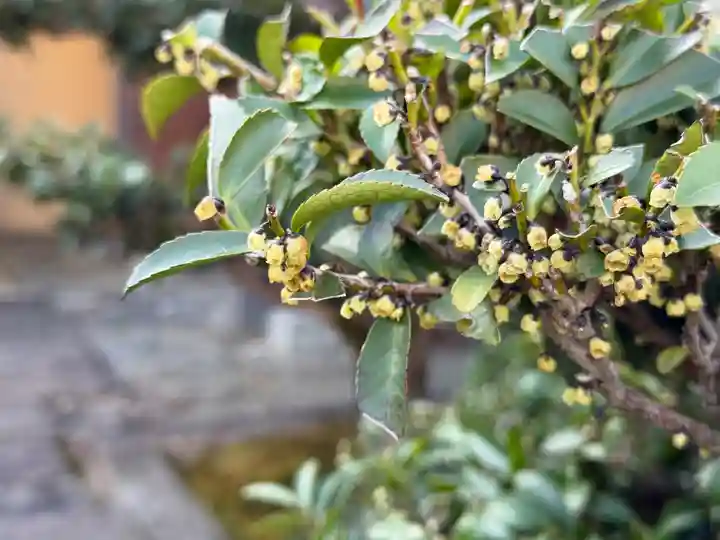 西方山極楽寺(岐阜県)