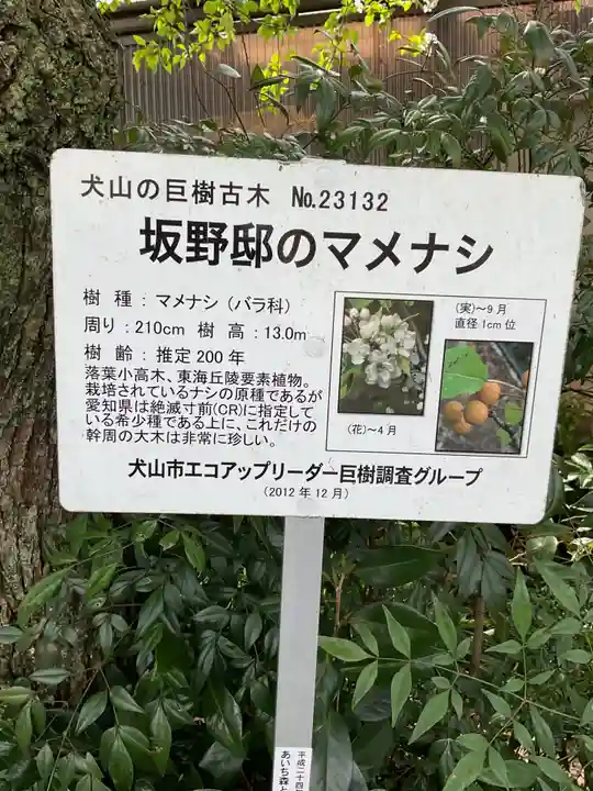 比良賀神社(愛知県)