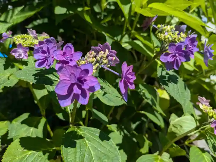 西野神社(北海道)