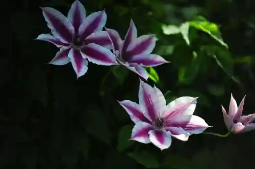 浄土寺(兵庫県)