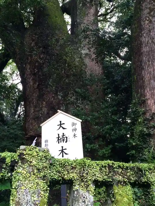八幡朝見神社(大分県)