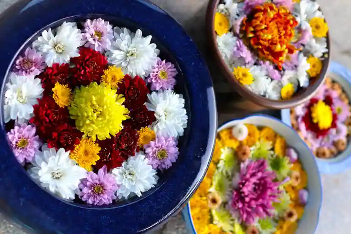 三津厳島神社(愛媛県)