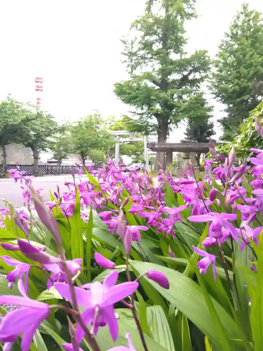 福井神社の{uncategorized: "未分類", other: "その他", undefined: "問題あり", building: "その他建物", grave: "お墓", sacred_gate: "鳥居", guardian: "狛犬", statue: "像", buddha: "仏像", history: "歴史", nature: "自然", garden: "庭園", animal: "動物", pagoda: "塔", temizu: "手水舎", mountain_gate: "山門・神門", sanctuary: "本殿・本堂", subordinate: "末社・摂社", art: "芸術", scenery: "景色", jizo: "地蔵", ema: "絵馬", goshuin: "御朱印", omikuji: "おみくじ", items: "授与品その他", amulet: "お守り", goshuincho: "御朱印帳", eats: "食事", festival: "お祭り", votive_dance: "神楽", shichigosan: "七五三参", wedding: "結婚式", experience: "体験その他", initially: "初詣", around: "周辺", anti_infection: "感染症対策"}