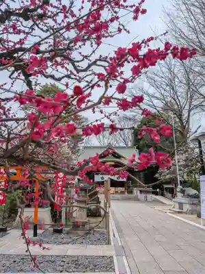 布多天神社(東京都)