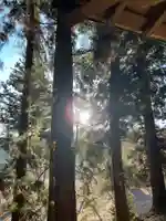 大宮温泉神社(栃木県)